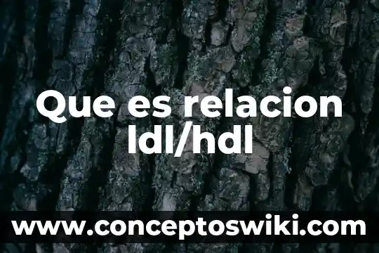 Que es una relacion jerarquica 5 Que es relacion ldl/hdl