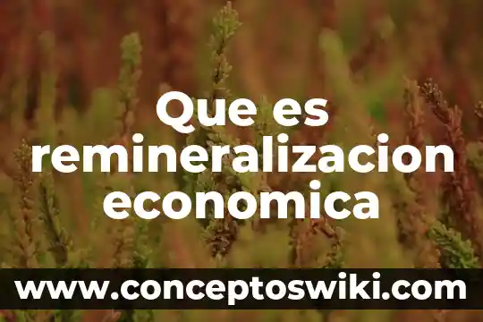 Explicar que es una crisis economica 6 Que es remineralizacion economica