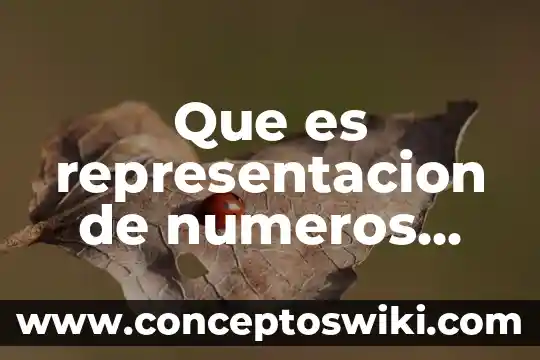 Que es una sustracción en numeros decimales 4 Que es representacion de numeros decimales