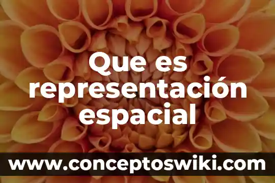Qué es una representación gráfica de fracciones 3 Que es representación espacial