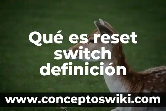 Que es switch red teclados 3 Qué es reset switch definición