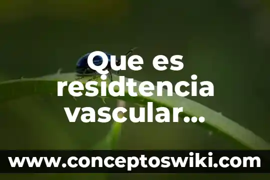 Que es el significado y significacion 6 Que es residtencia vascular sistemica