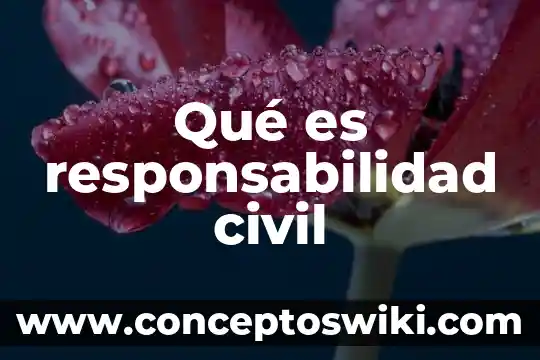 Que es la responsabilidad niños y niñas 5 Qué es responsabilidad civil