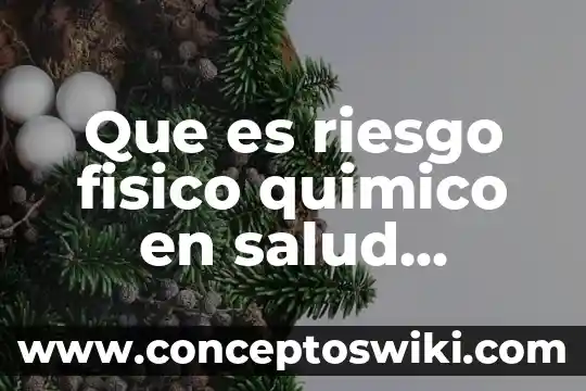 ¿Qué es terapia ocupacional y terapia física? 3 Que es riesgo fisico quimico en salud ocupacional