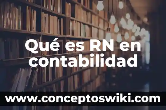 Que es el une en contabilidad 3 Qué es RN en contabilidad
