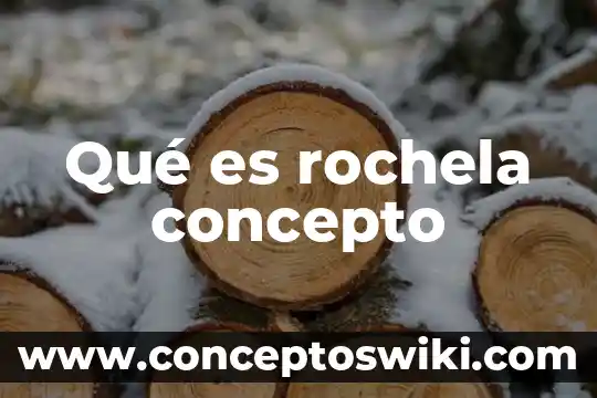 Que es significado concepto 7 Qué es rochela concepto