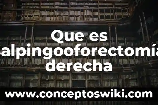 Que es la derecha politica en mexico 8 Que es salpingooforectomía derecha