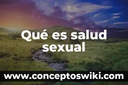 Que es activo sexual 4 Qué es salud sexual