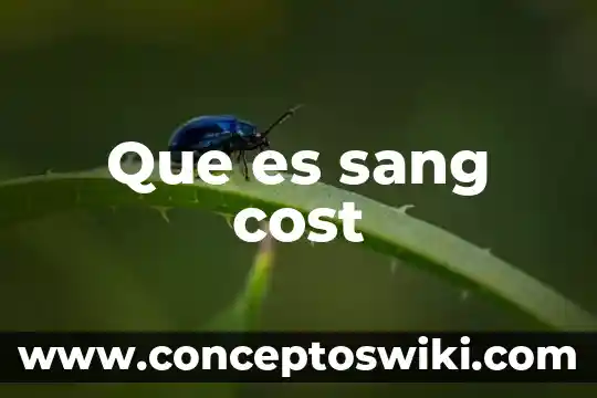 Qué es un cost 6 Que es sang cost