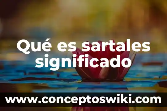 Que es una tasa en matematica financiera 5 Qué es sartales significado