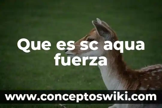 Transductor de fuerza que es 3 Que es sc aqua fuerza