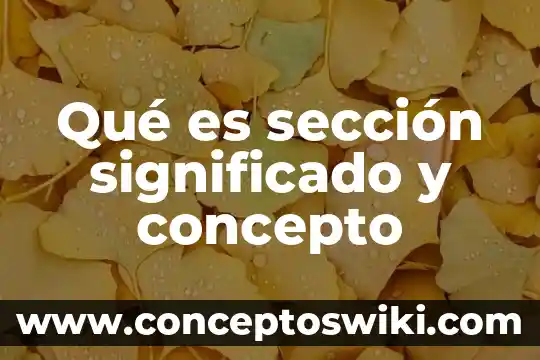Que es una seccion en un periodico 7 Qué es sección significado y concepto