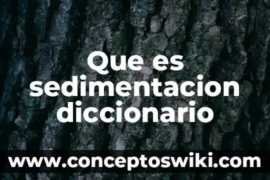 Que es enjundia diccionario 5 Que es sedimentacion diccionario