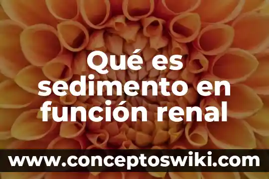 Qué es insuficiencia renal y sus tipos 8 Qué es sedimento en función renal
