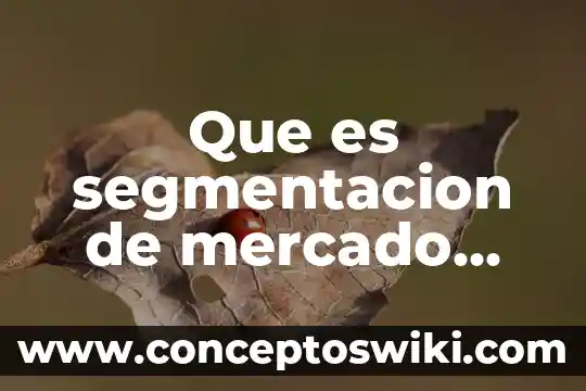 Que es tecnica significado y concepto 7 Que es segmentacion de mercado concepto