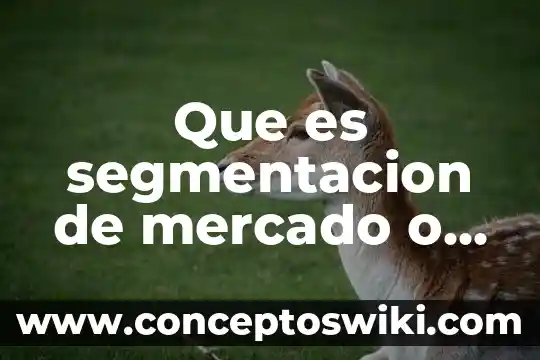 Que es estudio de mercado y que investigacion de mercado 5 Que es segmentacion de mercado o nicho de mercado