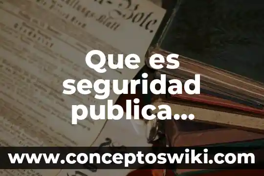 Concepto y qué es un presupuesto 3 Que es seguridad publica concepto