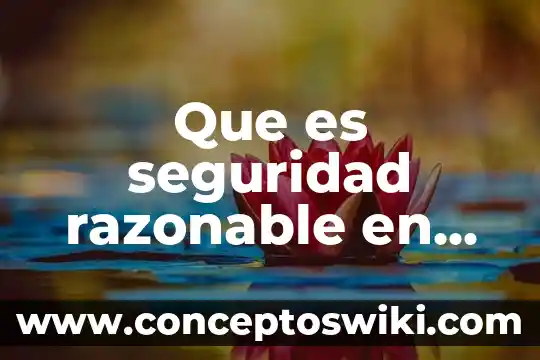 Que es educacion infantil tesis 8 Que es seguridad razonable en auditoria