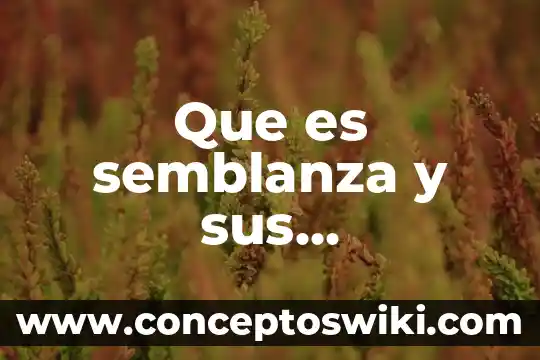 Qué es un líder y características 7 Que es semblanza y sus caracteristicas