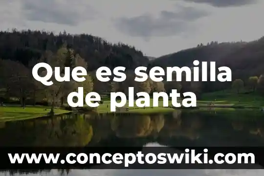 Que es una empleada de planta 8 Que es semilla de planta