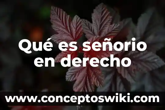 Que es un precedente en derecho 4 Qué es señorio en derecho