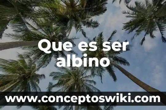 Por que es importante ser empático 7 Que es ser albino