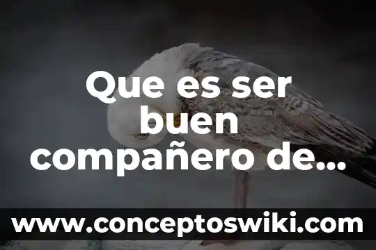 Que es ser papanatas 4 Que es ser buen compañero de trabajo