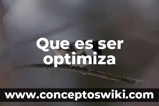 Que es ser imbecil segun fernando savater 3 Que es ser optimiza
