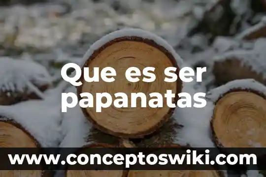 Que es ser un poltergeist 3 Que es ser papanatas
