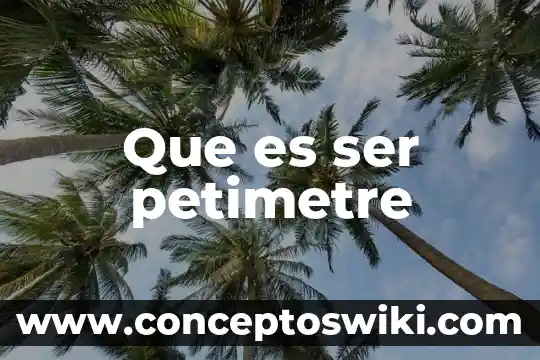 Que es ser un cero a la izquierda 3 Que es ser petimetre