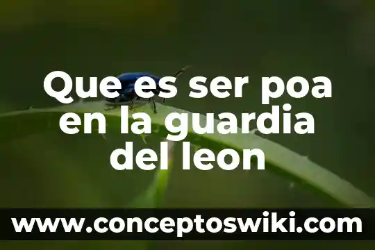 Qué es el POA en la educación 4 Que es ser poa en la guardia del leon