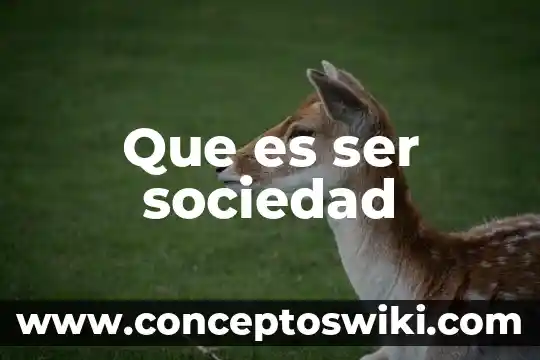 Que es mejor sociedad o persona fisica 6 Que es ser sociedad