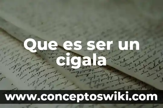 Por que es importante ser empático 6 Que es ser un cigala