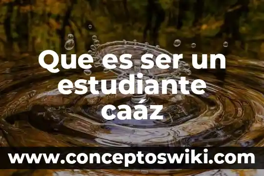 Que es asignacion de un número a un estudiante 5 Que es ser un estudiante caáz