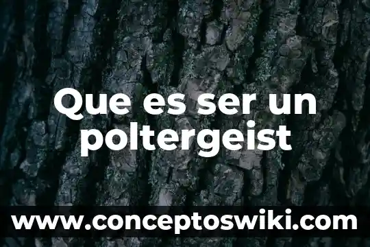 Que es ser papanatas 3 Que es ser un poltergeist