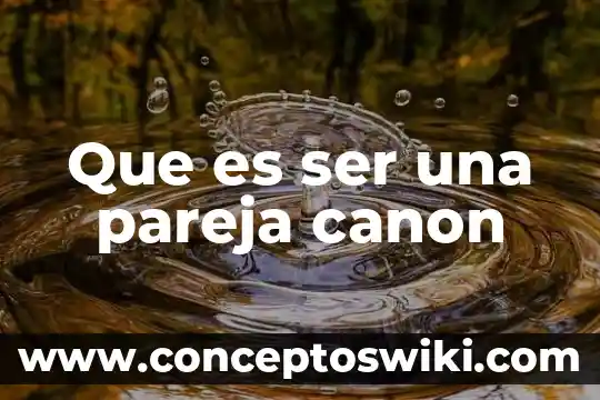 Que es el cañon de un microscopio electronico de trnasmision 7 Que es ser una pareja canon