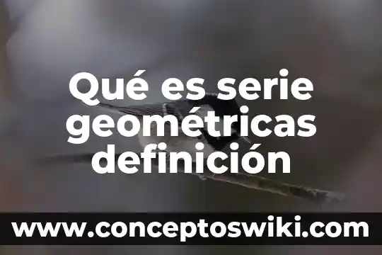 Que es un modelo cientifico en fisica 7 Qué es serie geométricas definición