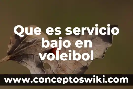 Que es servicio de itil 6 Que es servicio bajo en voleibol