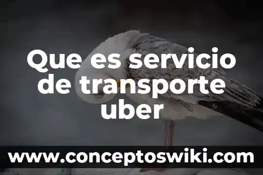 Que es alias de servicio 6 Que es servicio de transporte uber