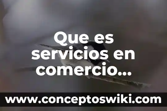 Qué es número interior y exterior de una casa 6 Que es servicios en comercio exterior
