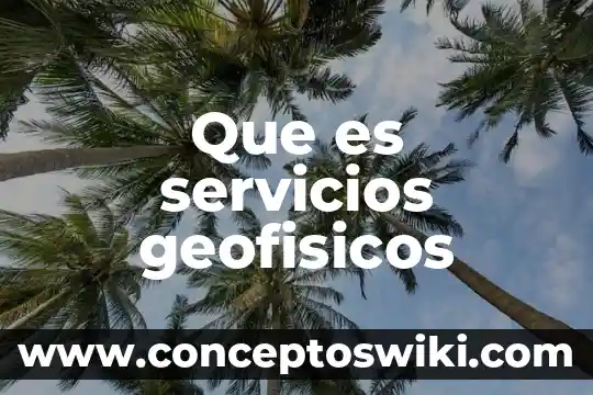 Que es el sector servicios en mexico 4 Que es servicios geofisicos