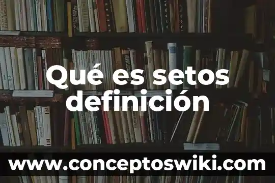 Que es un generadores de aire definicion 4 Qué es setos definición