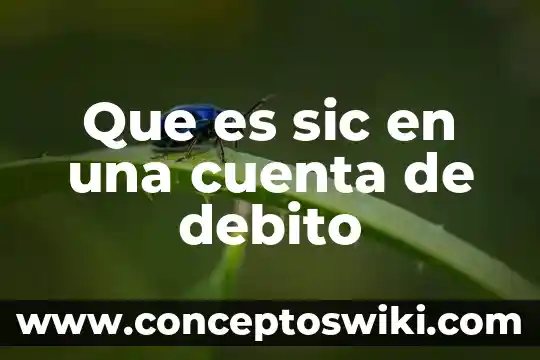 Qué es nota de crédito y débito en contabilidad 4 Que es sic en una cuenta de debito