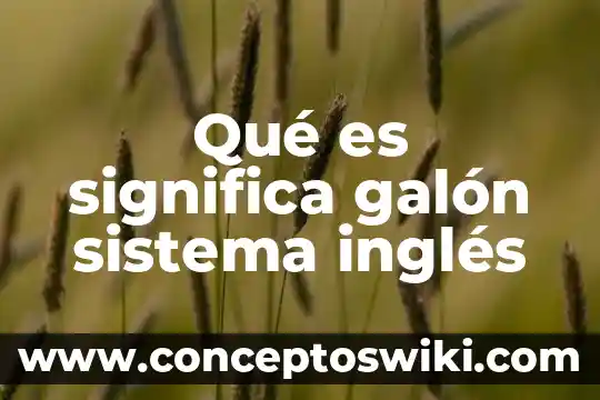 Que se significa que es algo logico 4 Qué es significa galón sistema inglés
