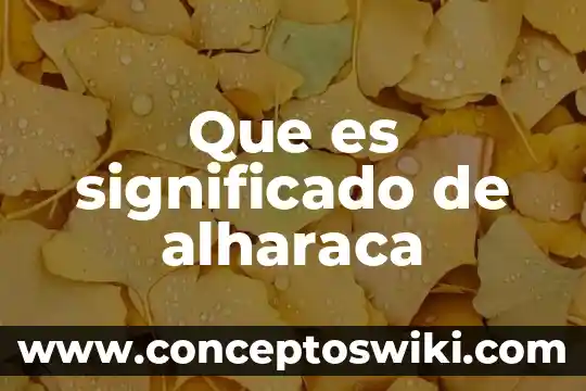 Qué es una toalla facial significado 8 Que es significado de alharaca