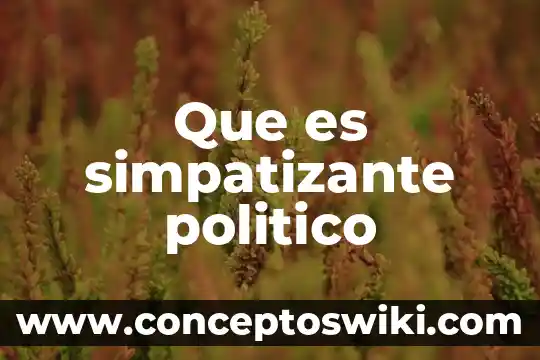 Que es el feudalismo el aspecto politico 4 Que es simpatizante politico