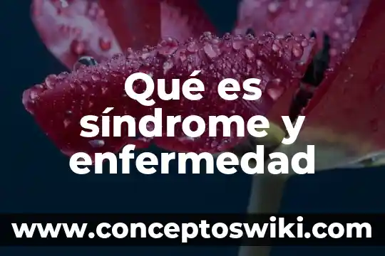 Que es la enfermedad de clamidiasis 3 Qué es síndrome y enfermedad