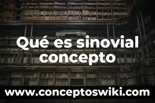 Qué es el concepto de sistemas 4 Qué es sinovial concepto