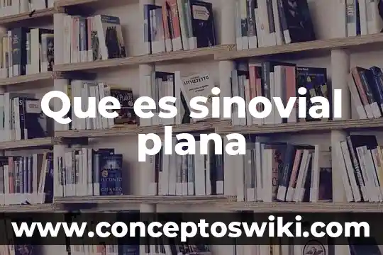 Que es la escalera plana 5 Que es sinovial plana