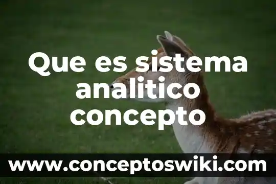 Solidaridad que es significado y concepto 4 Que es sistema analitico concepto